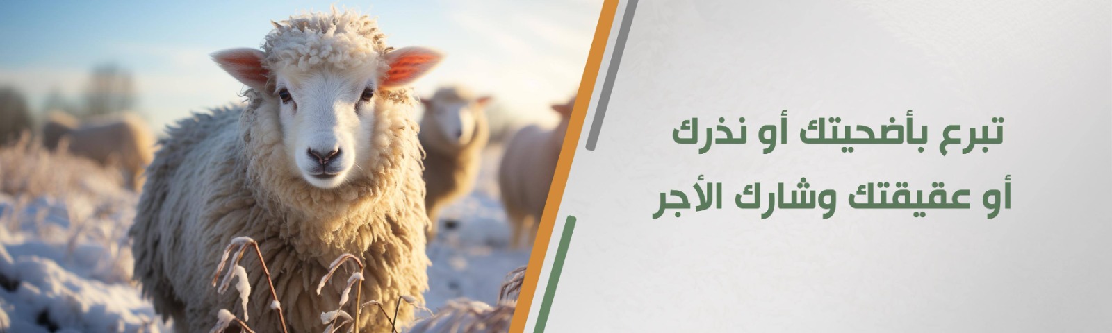 جمعية القطيف الخيرية 
