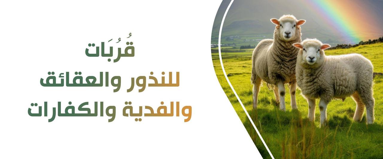 جمعية القطيف الخيرية 